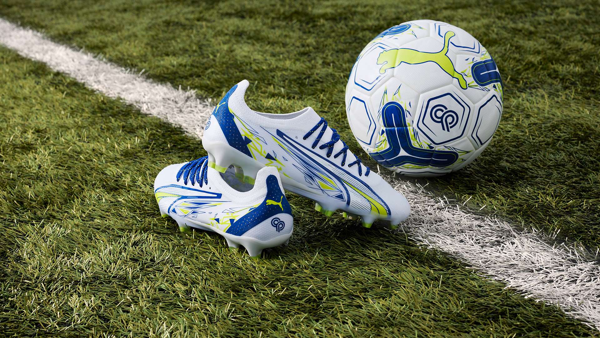 关注和讨论 关注和讨论